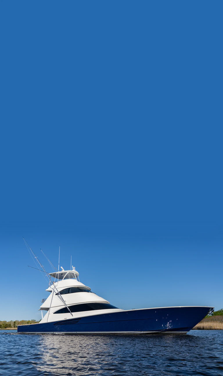 VYC Main Image