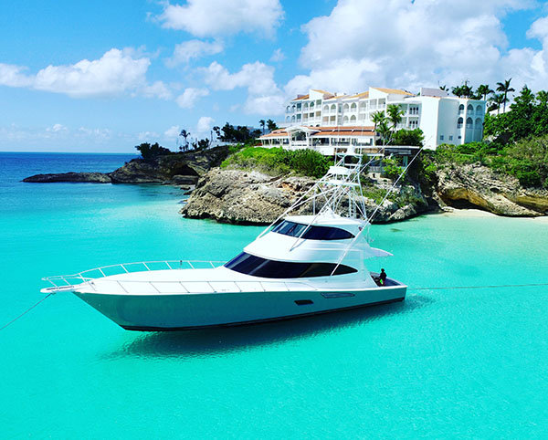 Viking Yachts Shot of the Day