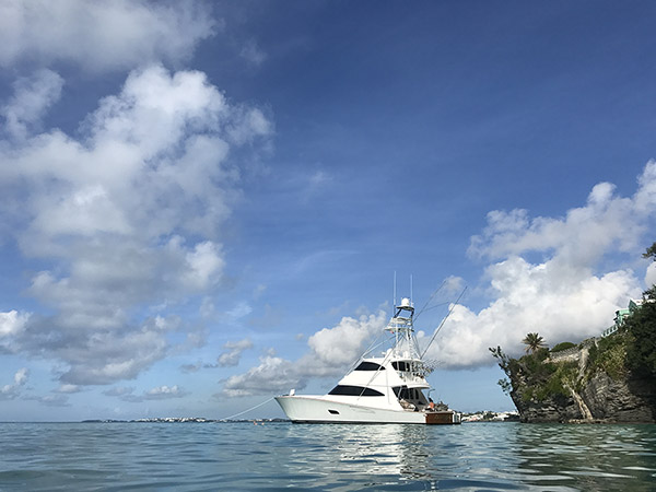 Viking Yachts Shot of the Day