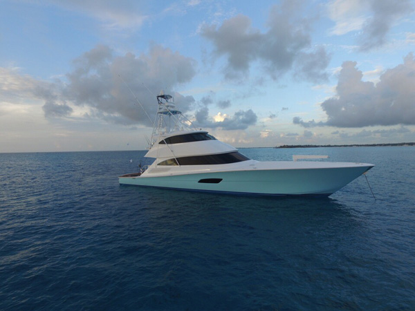 Viking Yachts Shot Of The Day